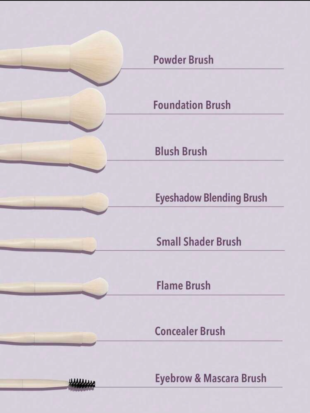 Sheglam -brush set